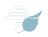 leaf icon